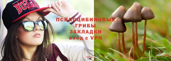стаф Новозыбков