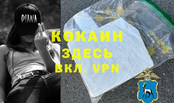 стаф Новозыбков