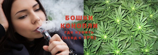 стаф Новозыбков