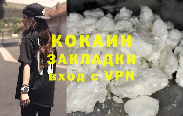 стаф Новозыбков