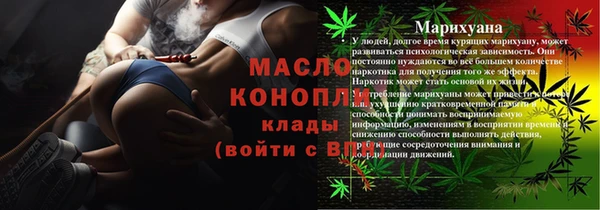 тгк Болотное