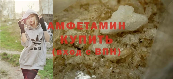 стаф Новозыбков
