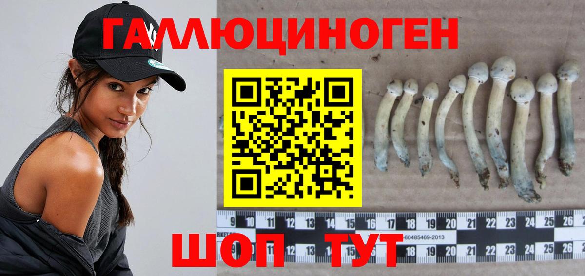 Псилоцибиновые грибы Psilocybine cubensis Коммунар